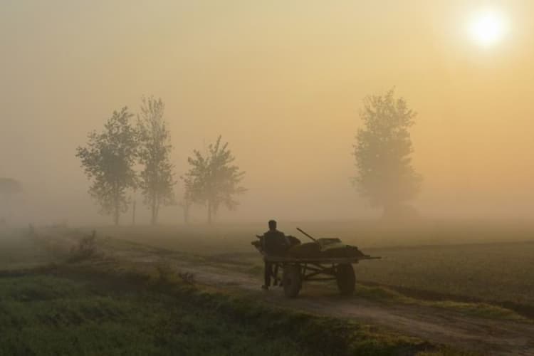Bihar Weather: अगले तीन से चार दिनों तक रात में गिरेगा पारा, प्रदेश में छाया रहेगा कोहरा