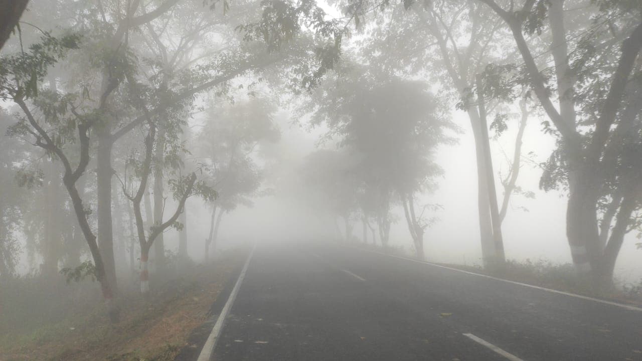 Bihar Weather: बिहार में छाई कोहरे की चादर, जेट स्ट्रीम की वजह से पटना का बढ़ रहा तापमान