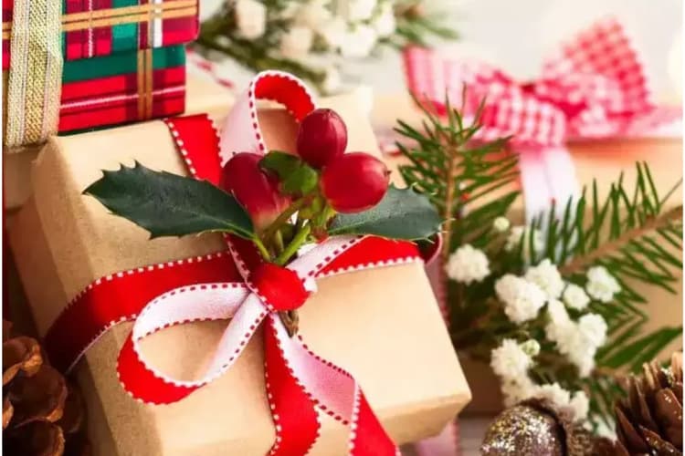 इस क्रिसमस पर दें सबसे यूनिक और ट्रेंडिंग उपहार, यहां जानें बेहतरीन गिफ्ट आइडिया