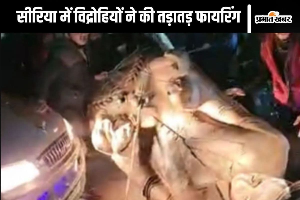 Syria Video : अल्लाह-हू-अकबर का नारा, तड़ातड़ फायरिंग, सीरिया में विद्रोहियों के तांडव का वीडियो