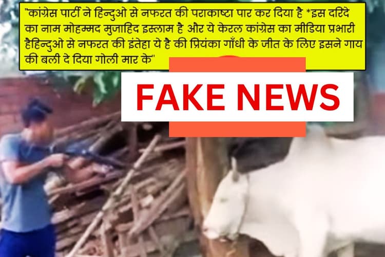 Fact Check: प्रियंका गांधी वाड्रा की जीत के लिए केरल में गोवंश की बलि, दावे में कितना है दम?