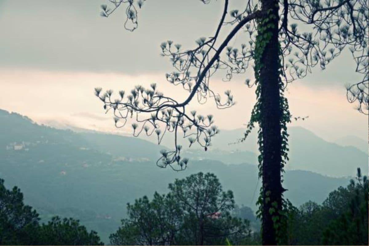 New Year 2025: नए साल का जश्न मनाए हिमाचल-उत्तराखंड की इन वादियों पर