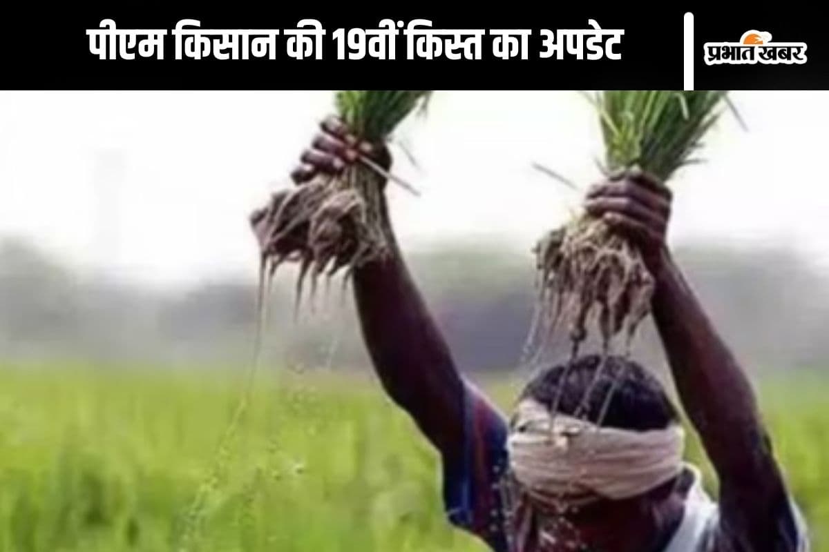 किसान सम्मान निधि योजना की 19वीं किस्त को लेकर आया अपडेट, जानें किन किसानों के खाते में नहीं आएंगे पैसे
