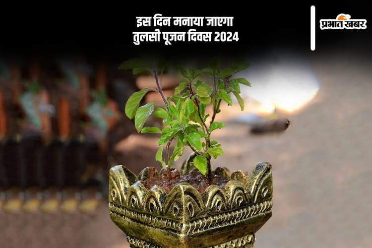 Tulsi Pujan Diwas 2024: आने वाला है तुलसी पूजन दिवस, नोट करें शुभ मुहूर्त