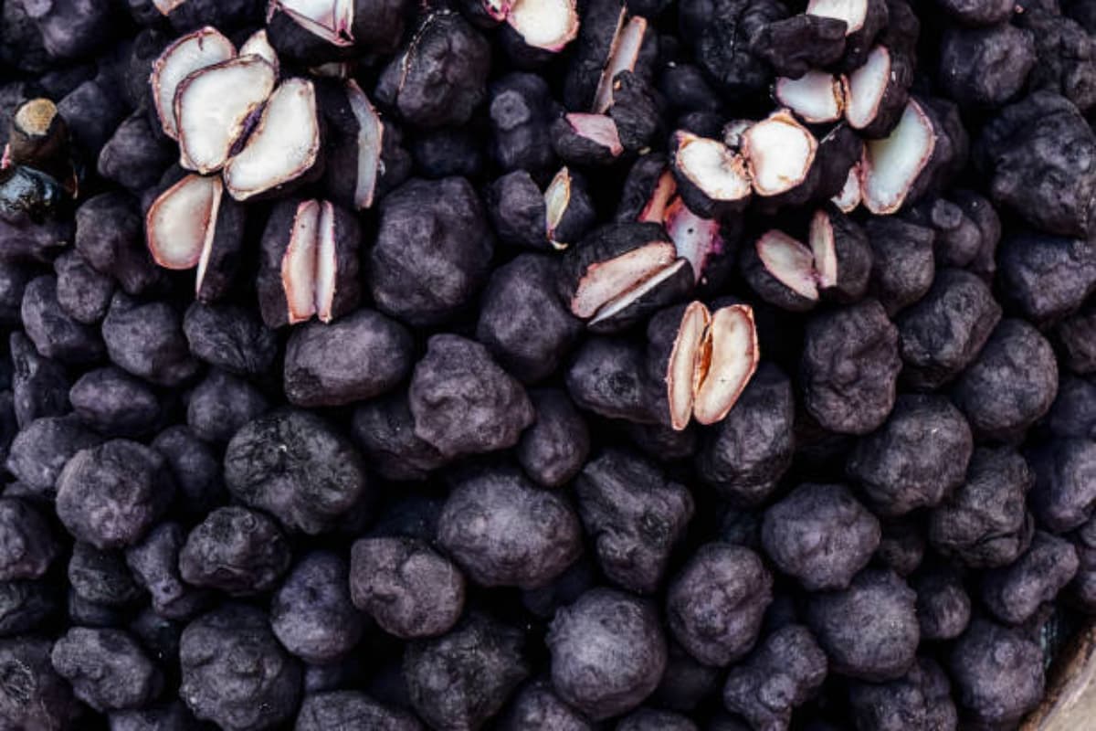 Water chestnut Benefits: इम्यूनिटी बूस्टर का काम करता है उबला सिंघाड़ा, गंभीर बीमारियों से मिलेगा छुटकारा