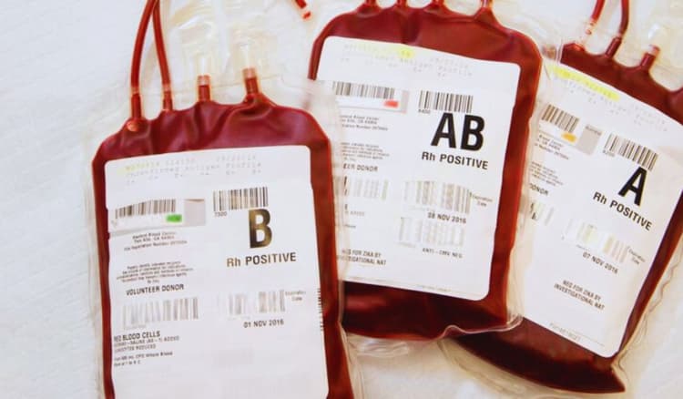 Blood Donation: बिहार में लाल खून का काला धंधा, फर्जी डोनर कार्ड पर हो रही लाखों में कमाई
