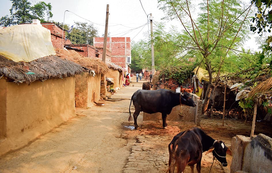 Buxar News : दूसरे दिन भी बस्ती में नहीं जले चूल्हे