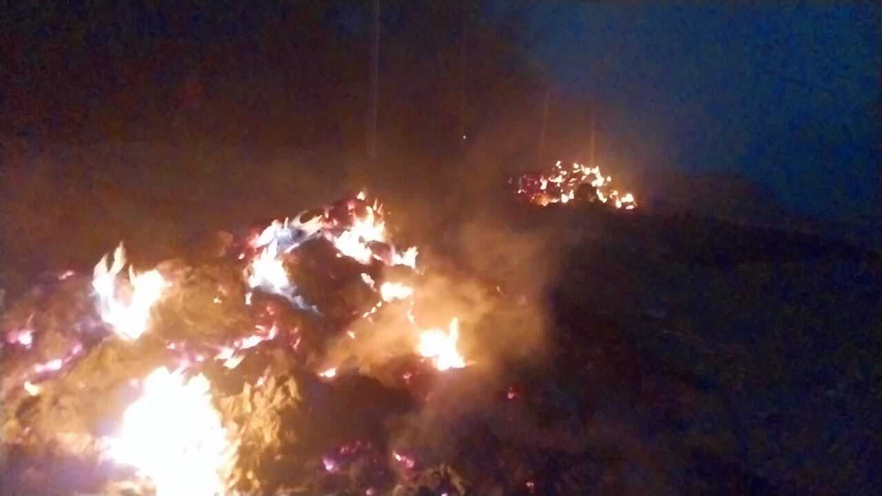 अगलगी में 15 एकड़ की धान की फसल जली