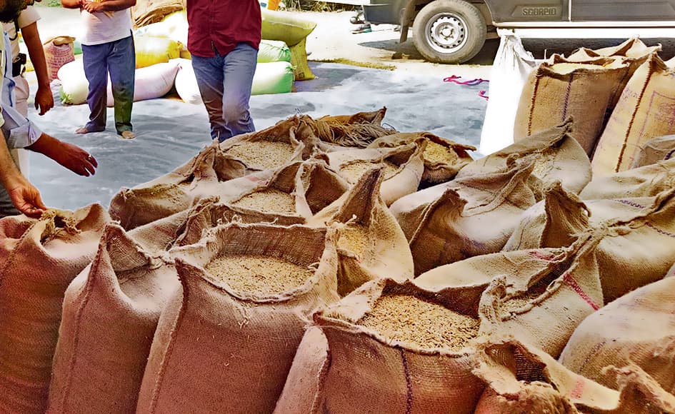 hajipur news. एक महीना बीत जाने के बावजूद 51 हजार एमटी लक्ष्य के विपरित अब तक मात्र 1257 एमटी धान की खरीद