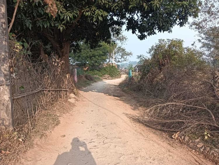 Giridih News :कच्ची सड़क के सहारे कट रही है बैंड्रोवासियों की जिंदगी