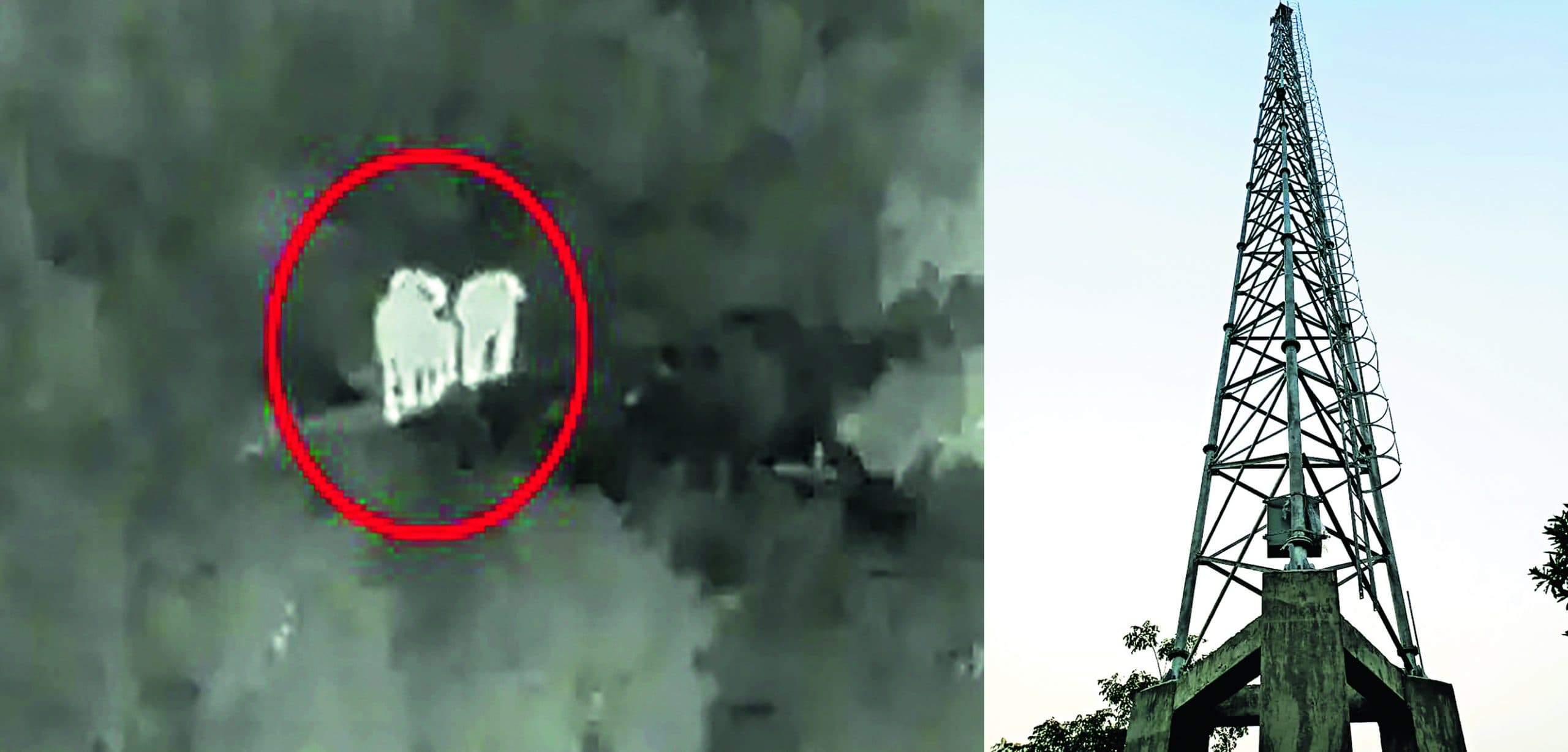 Rourkela News: एआइ तकनीक वाले कैमरों से मिले अलर्ट पर वन विभाग और रेलवे ने दिखायी तत्परता, पांच हाथियों की बची जान