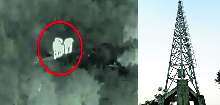 Rourkela News: एआइ तकनीक वाले कैमरों से मिले अलर्ट पर वन विभाग और रेलवे ने दिखायी तत्परता, पांच हाथियों की बची जान