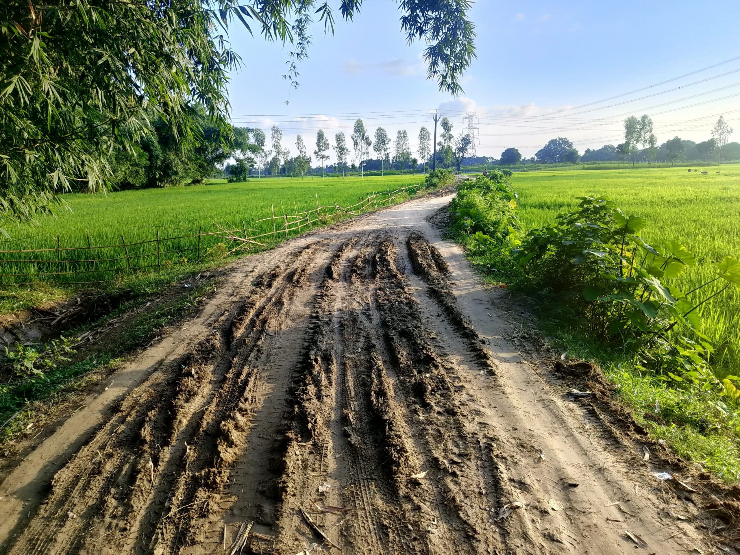 भाटाबस्ती होते अलुआबाड़ी स्टेशन जाने वाली कच्ची सड़क के पक्कीकरण की मांग