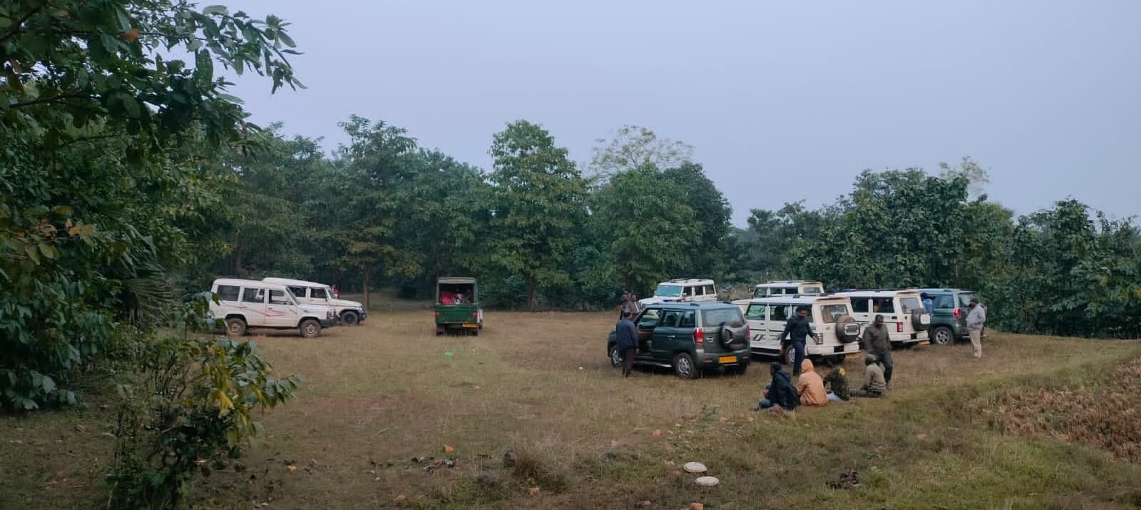 East Singhbhum : गुड़ाबांदा से नदी पार कर चाकुलिया के नया ग्राम जंगल में घुसी बाघिन, हर घंटे बदल रही जगह, ग्रामीणों को किया गया सावधान
