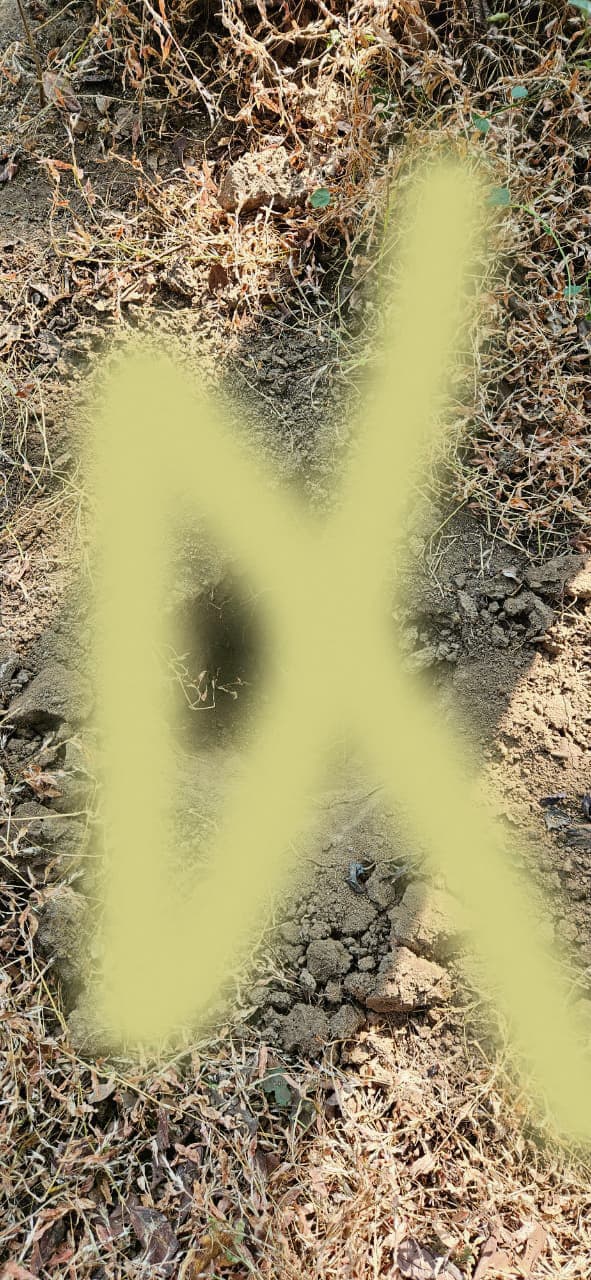 Gaya News : डुमरिया के पचरूखिया जंगल से दो प्रेशर आइइडी बरामद