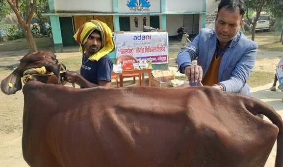 कैंप के माध्यम से 10 मवेशियों का किया गया उपचार