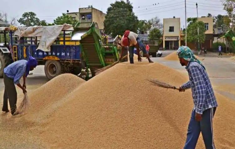 Ranchi news : धान की खरीद आज से, किसानों को मिलेंगे प्रति क्विंटल 2400 रुपये