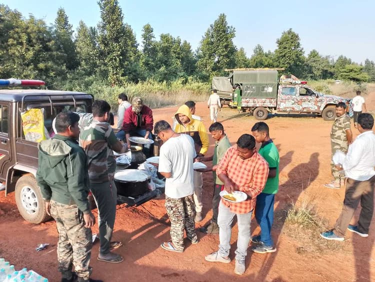 East Singhbhum : चियाबांधी से राजाबासा जंगल में पहुंची बाघिन, गाय का शिकार की आशंका