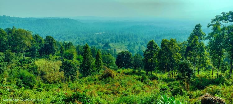 शहर की भीड़ भाड़ से दूर इन प्राकृतिक वादियों में करे नये साल की शुरुआत