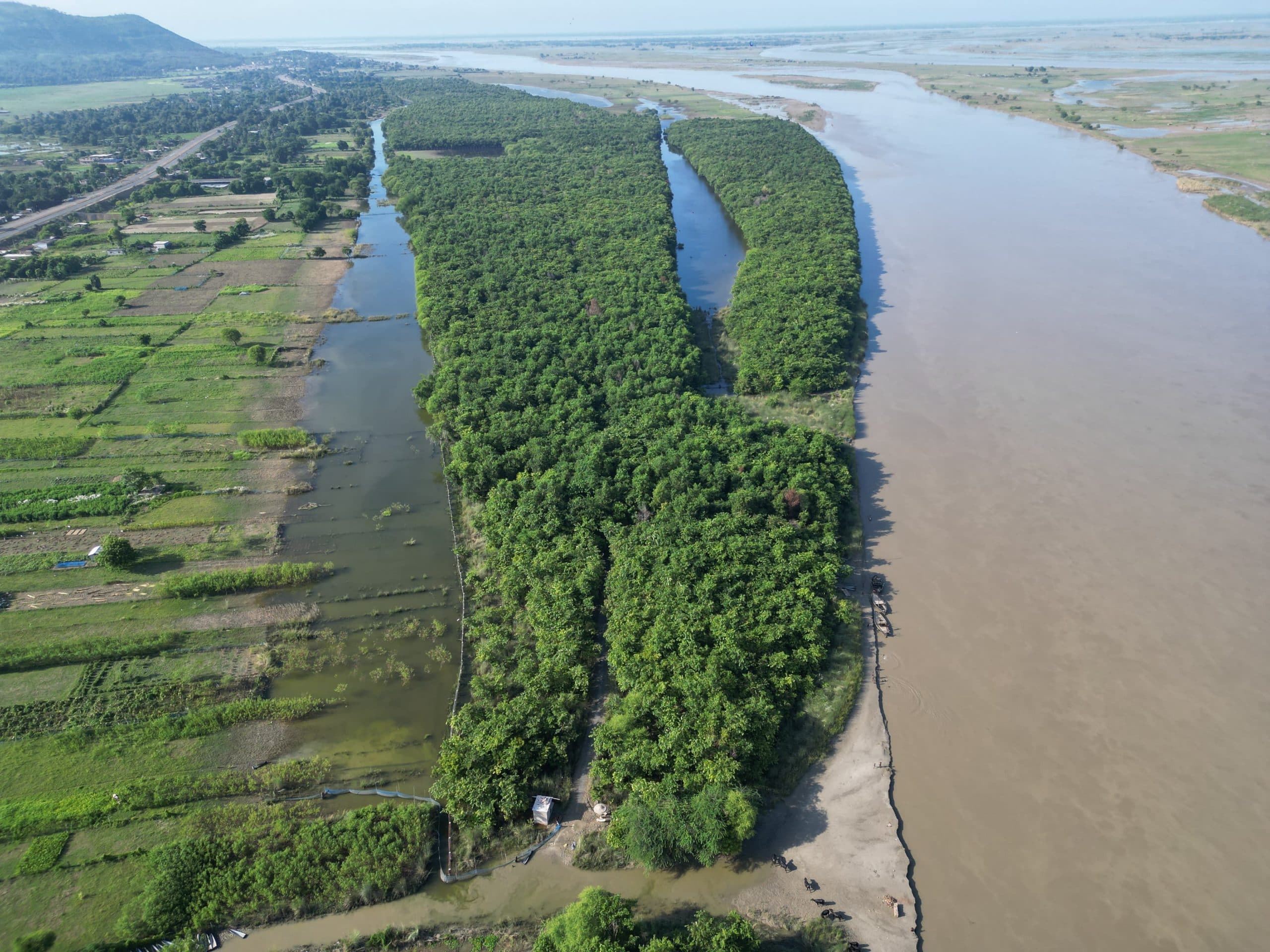 मेंहदीपुर बायोडायवर्सिटी पार्क में लगे तीन लाख पेड़, बना पिकनिक स्पॉट