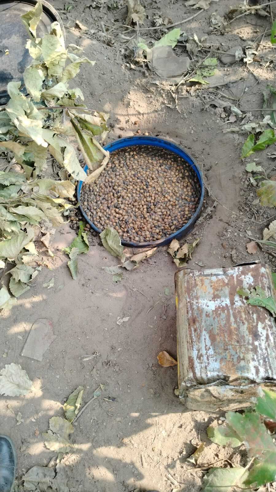 Nawada news : शराब की दो भट्ठियां ध्वस्त, तीन हजार लीटर जावा महुआ नष्ट