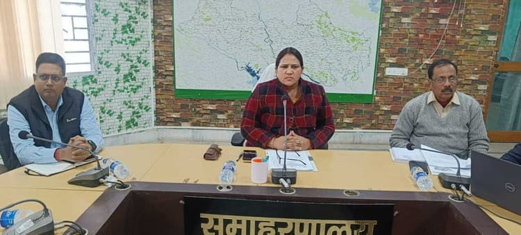एनीमिया पीड़त लोगों का अस्पताल में करें बेहतर इलाज : डीसी