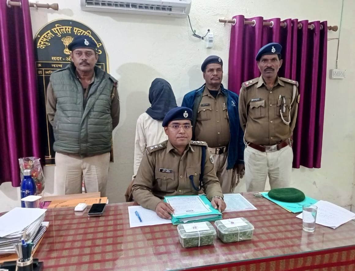 Aurangabad News : बादम से 178 हरा पौधा गांजा जब्त