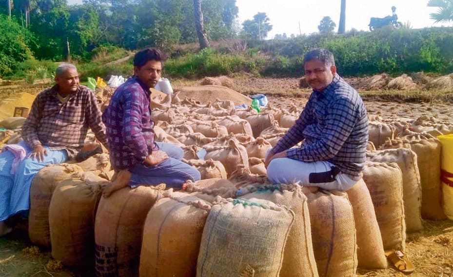 जिले में धान अधिप्राप्ति की गति सुस्त, लक्ष्य का चार प्रतिशत हुई है खरीद
