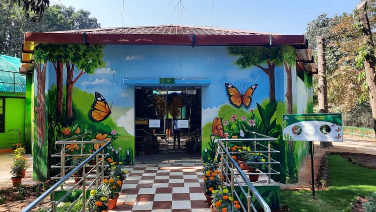 Jamshedpur News : टाटा जू में शनिवार को खुलेगा बटरफ्लाइ पार्क, जानिये खासियत
