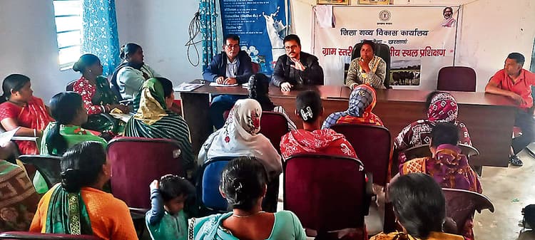 Saraikela Kharsawan news: तीन माह के अंतराल में गाय को कृमि की दवा खिलायें