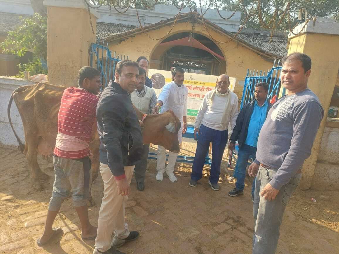 लंगड़ी बुखार से बचाव के लिए जिले के 3.28 लाख गाय-भैंस को लगाया जाएगा टीका