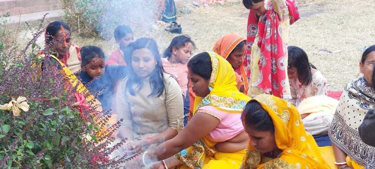 आंगन में तुलसी का पौधा अवश्य लगाएं, करें पूजा