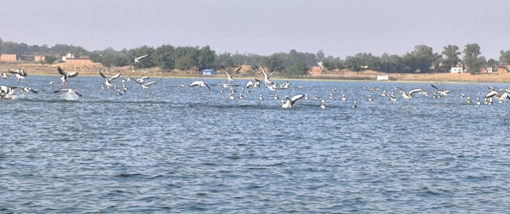 Merry Christmas: क्रिसमस के मौके पर खंडोली में उमड़ी सैलानियों की भीड़