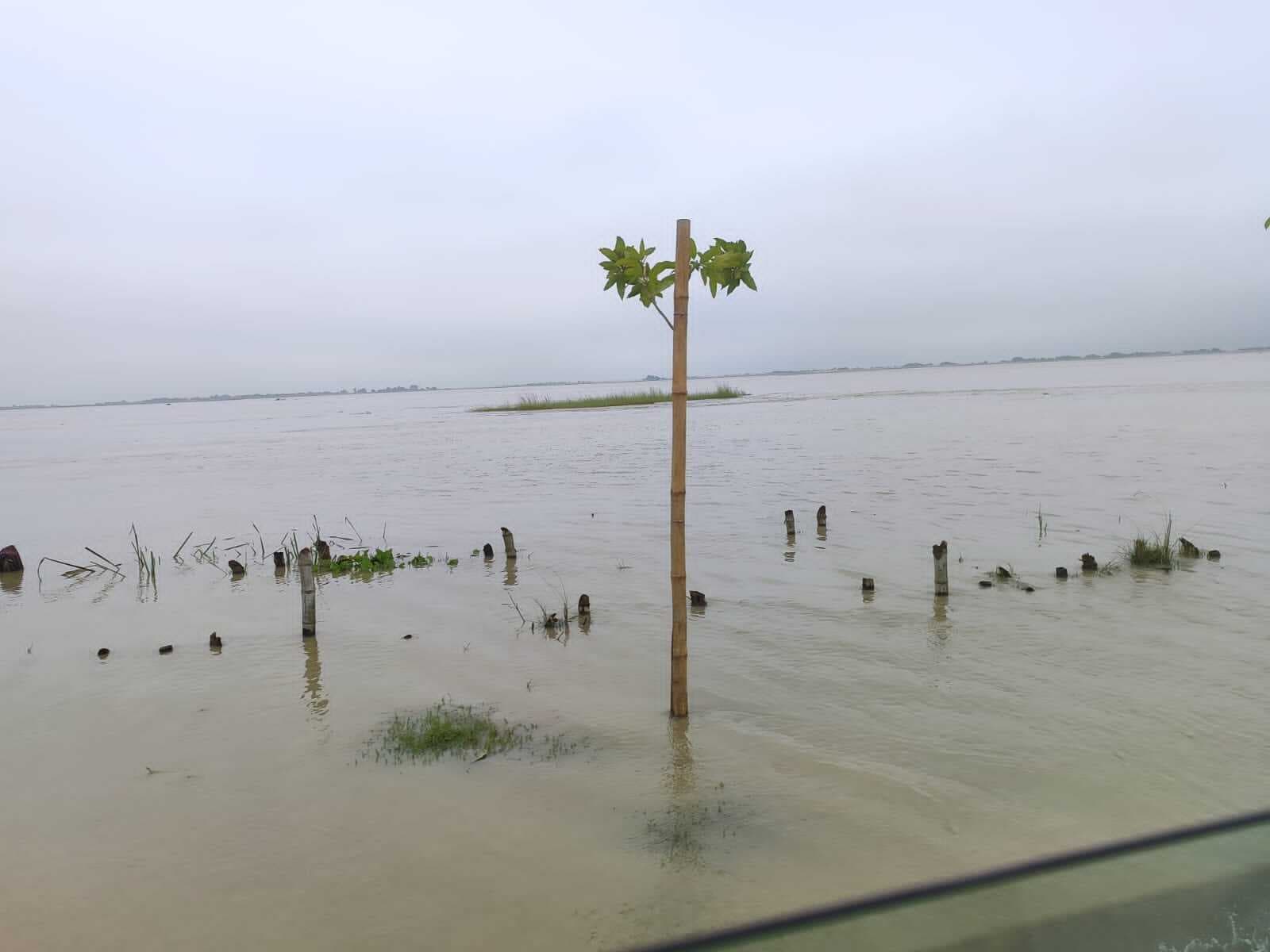 खुशी और गम के बीच बीता वर्ष 2024