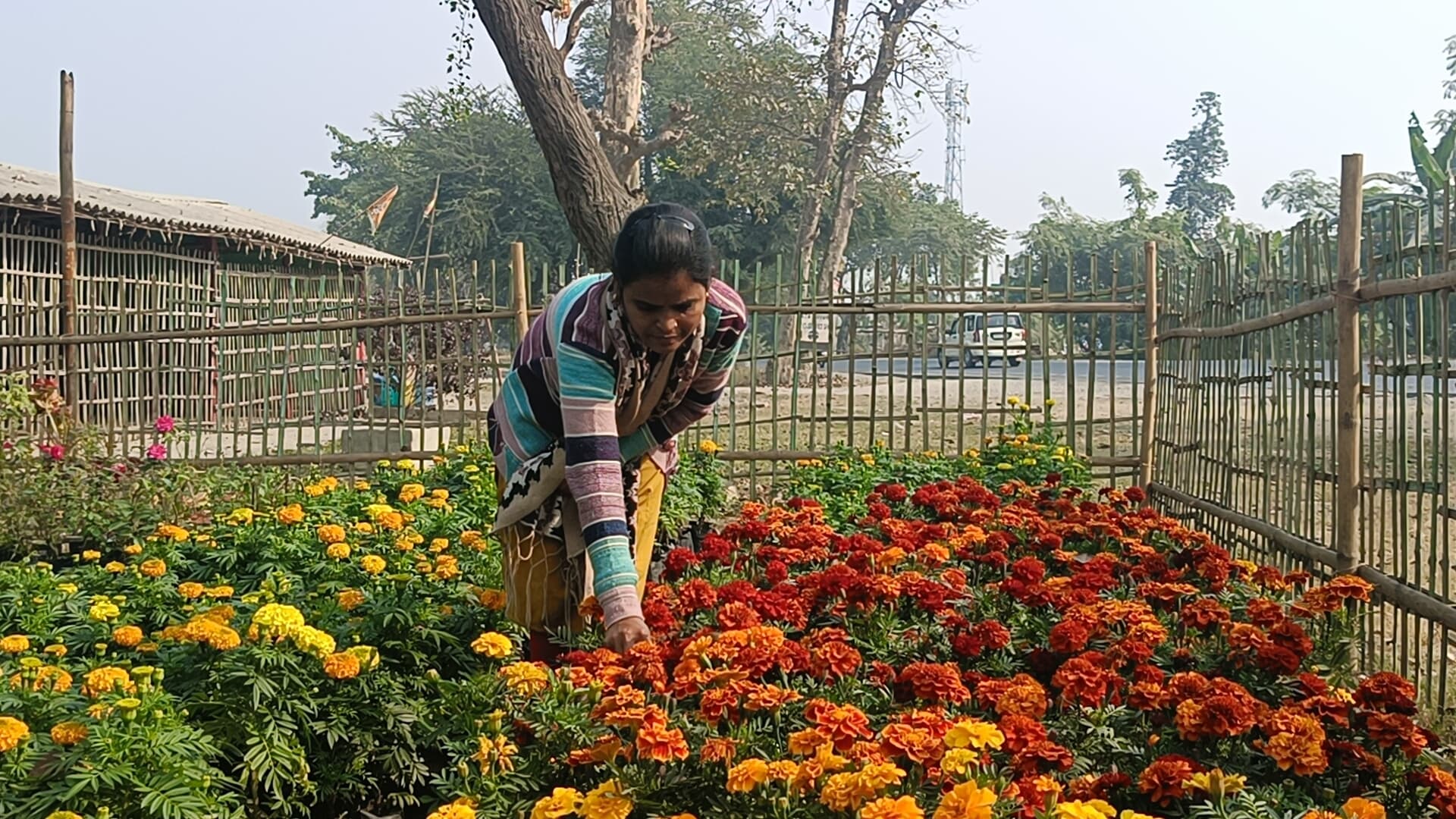 फूलों की खुशबू बिखरते हुए सुंदर भविष्य का निर्माण कर रही नूतन