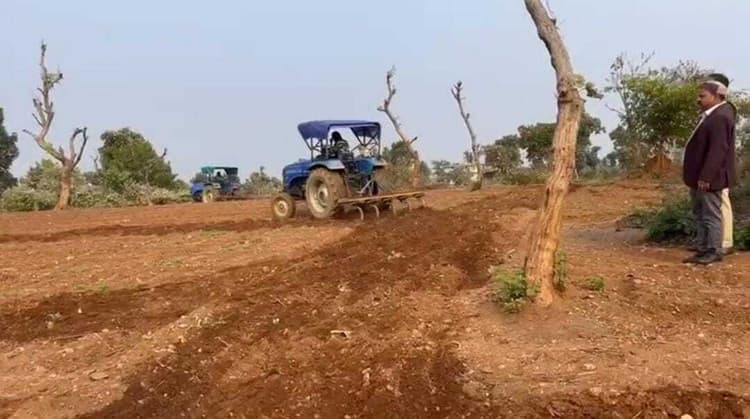 44.5 एकड़ में लगी अफीम की फसल को किया नष्ट