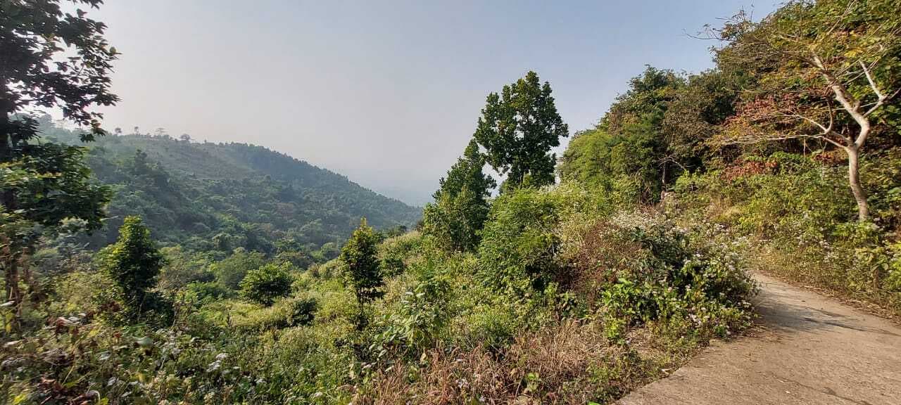 पहाड़ी व घाटियों के बीच ले रहे पिकनिक का आनंद