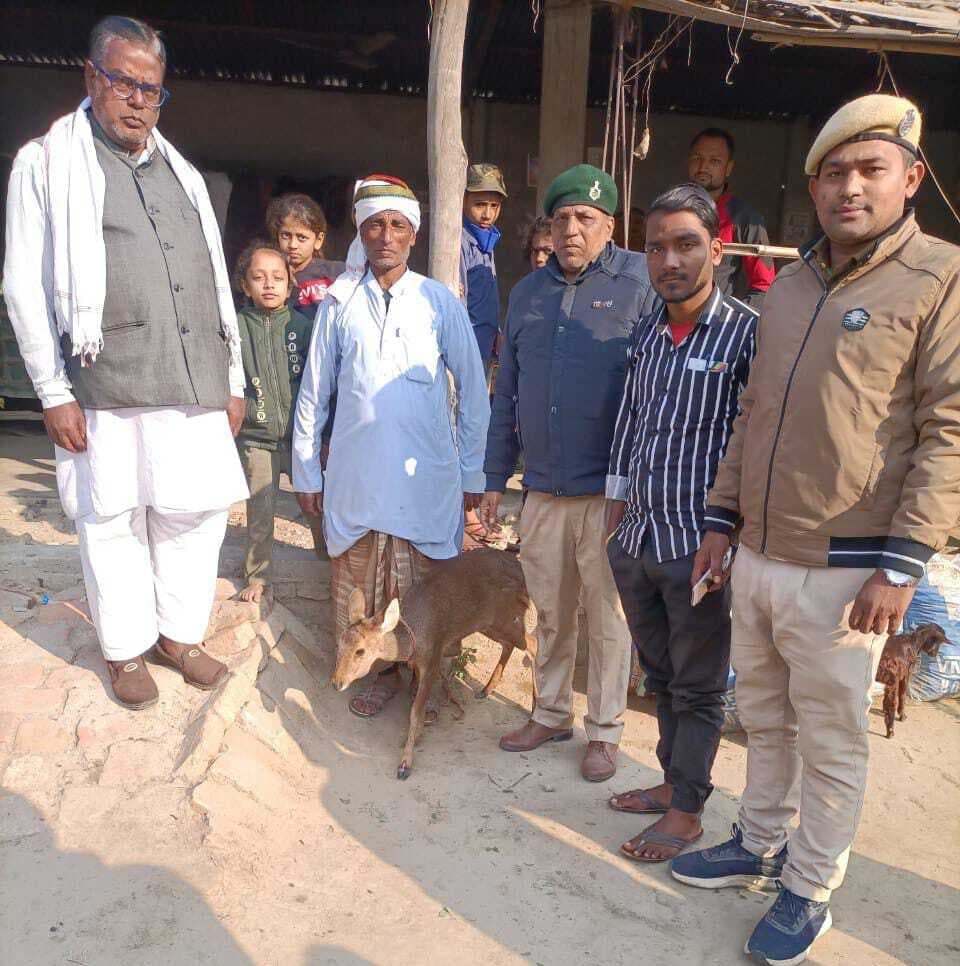 ग्रामीणों ने भटके हिरण को किया वन विभाग के हवाले