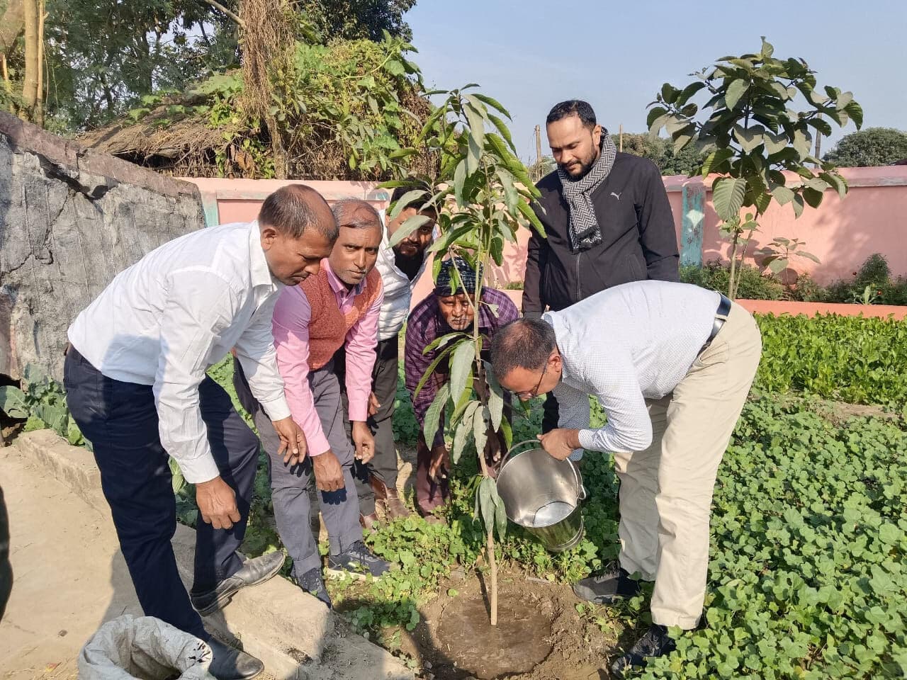 जिला शिक्षा पदाधिकारी ने किया पौधरोपण