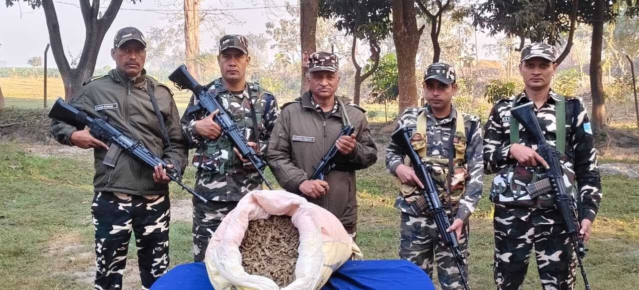 एसएसबी जवानों ने जब्त किया 19.5 किलो गांजा, तस्कर फरार