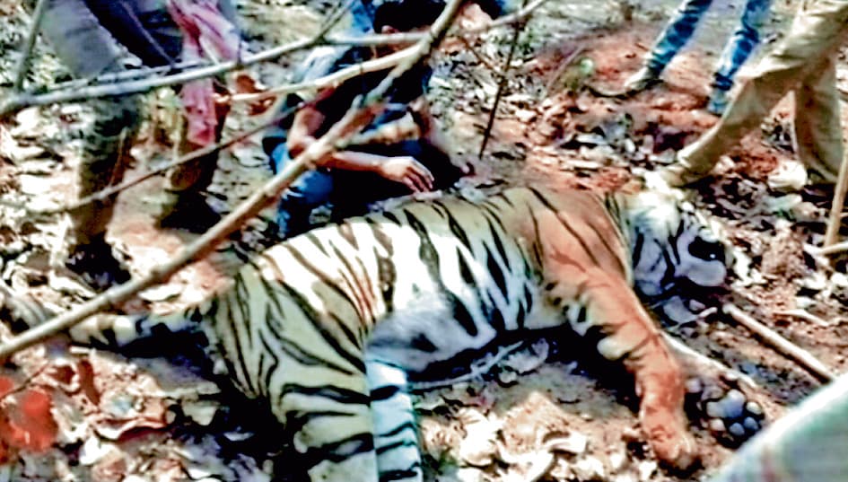 स्वस्थ है जीनत, ओड़िशा भेजने पर फैसला आज