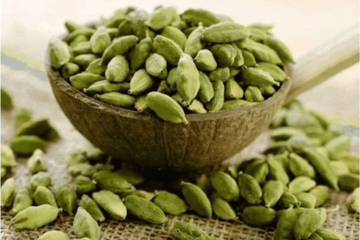 Diabetes: इलायची से ब्लड शुगर रहेगा कंट्रोल, जानें इसके बेहतरीन फायदे