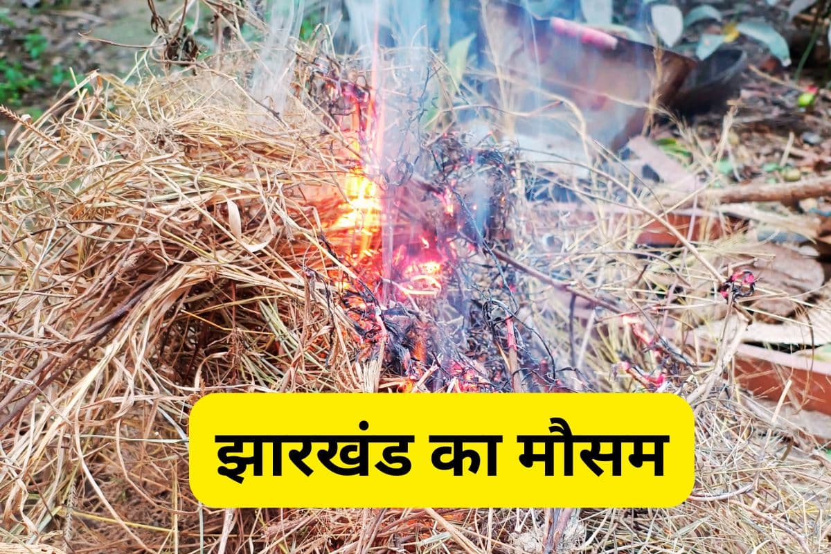 Aaj Ka Mausam: झारखंड में ठंड हुआ प्रचंड, अभी जान लीजिए कैसा रहेगा आज का मौसम