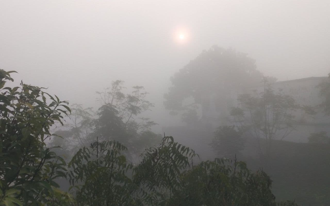 वीकेंड में मौसम कैसा रहेगा? झारखंड में कब बारिश होगी? ये है वेदर अपडेट