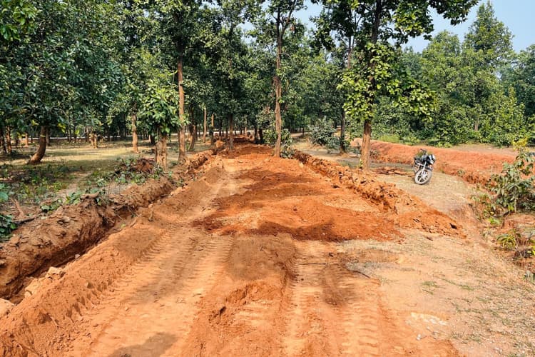 Prabhat Khabar Impact: प्रभात खबर में छपी खबर का असर, अब मिट्टी-मोरम की जगह बनेगी पक्की सड़क, डीएफओ ने लिया संज्ञान