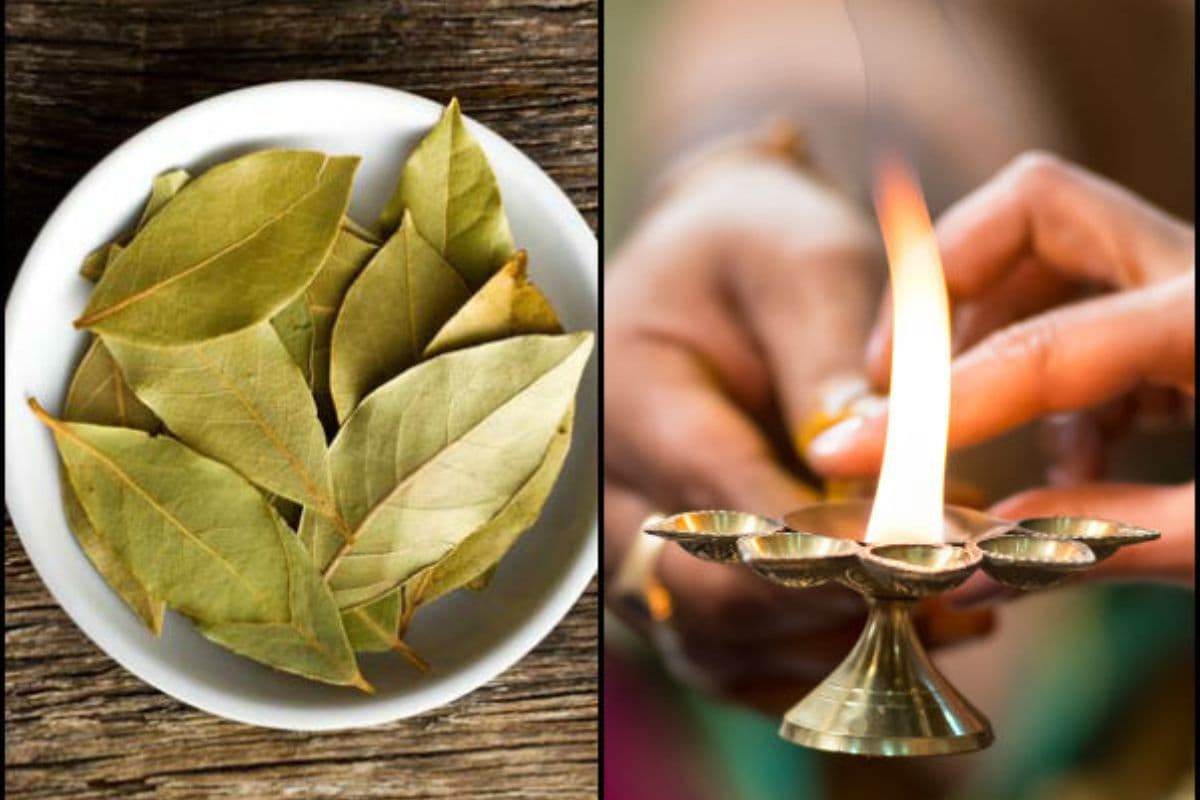 Bay Leaves Health Benefits : रात में तेज पत्ता जलाने से मिलते हैं ये अद्भुत लाभ