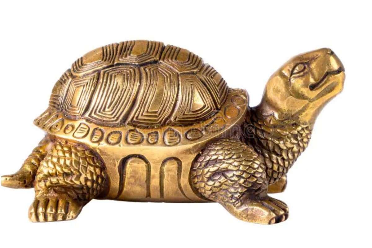 Vastu Tips For Wealth : घर में इस दिशा में रखें पीतल का कछुआ, बरसेगी मां लक्ष्मी की कृपा