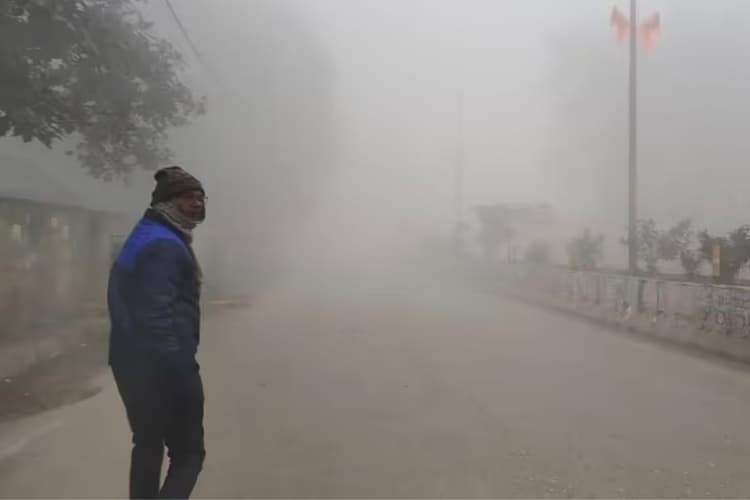 पश्चिमी विक्षोभ से बढ़ी ठंड, कोहरा, बारिश और बर्फबारी का अलर्ट