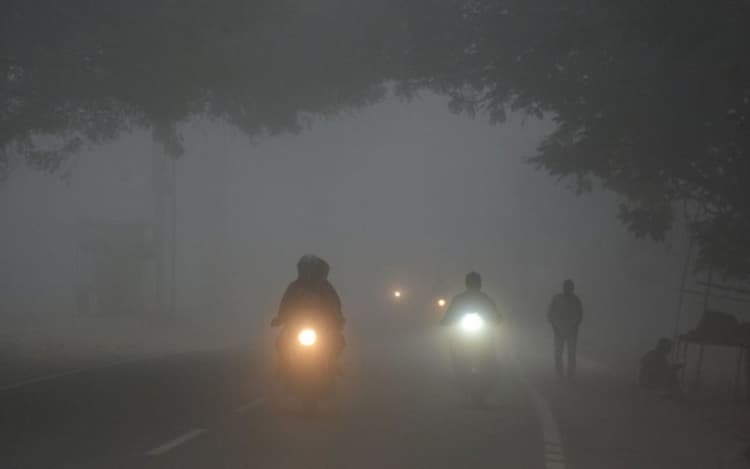 Bihar Weather: बिहार के 25 जिलों में इस दिन तक छाया रहेगा घना कोहरा, IMD ने जारी किया येलो अलर्ट