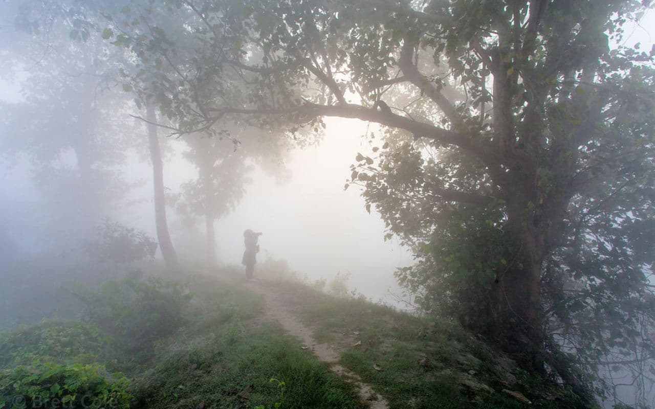 Bihar Weather: बिहार पहुंचा पश्चिमी विक्षोभ, सुबह कोहरा लेकिन नहीं बदलेगा रात का मौसम